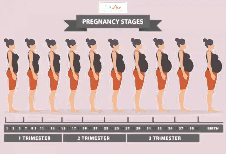 First Trimester (Weeks 1–12): Early Changes You Might Not Notice Chesterfield